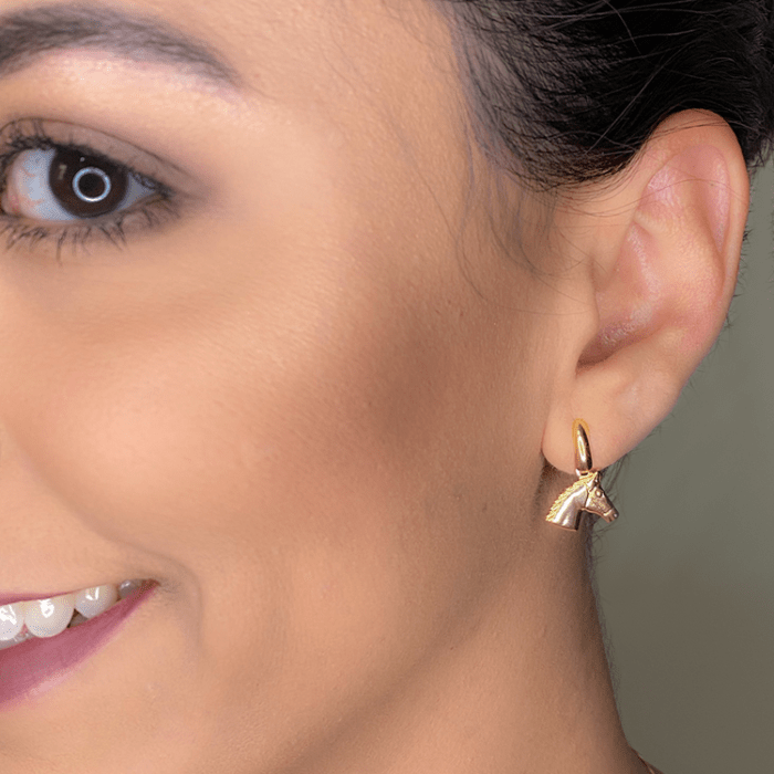 brinco_cavalo_vestido