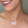 cavalo_vazado_ourobranco_corpo